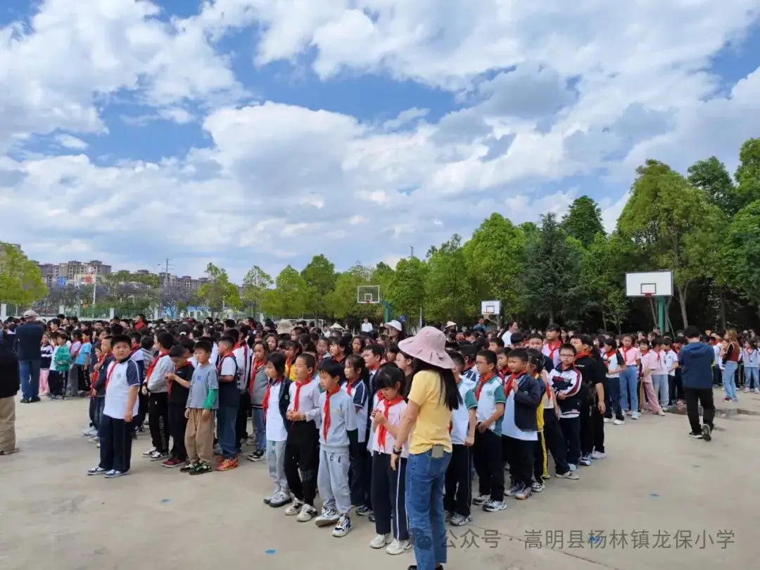 家校合力 共育未来——龙保小学庆六一主题活动 第17张 家校合力 共育未来——龙保小学庆六一主题活动 第17张