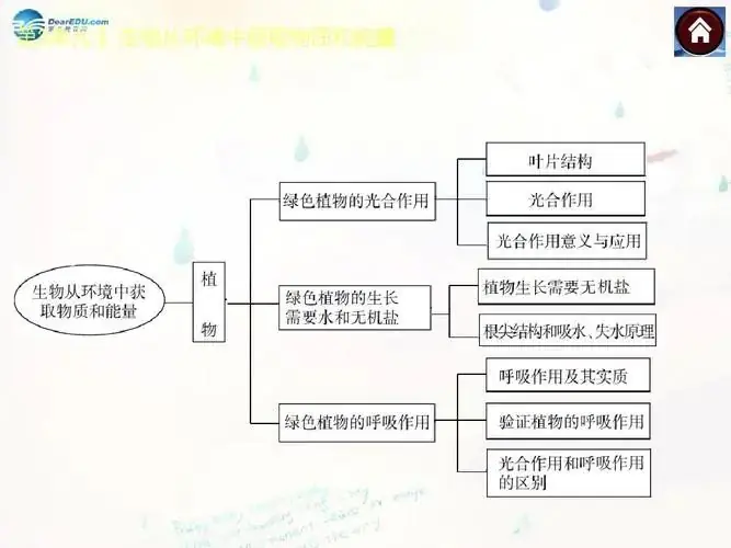 《孙雅俊 中考生物核心考点》所有课程 (超清1080p) 第2张 《孙雅俊 中考生物核心考点》所有课程 (超清1080p) 第2张