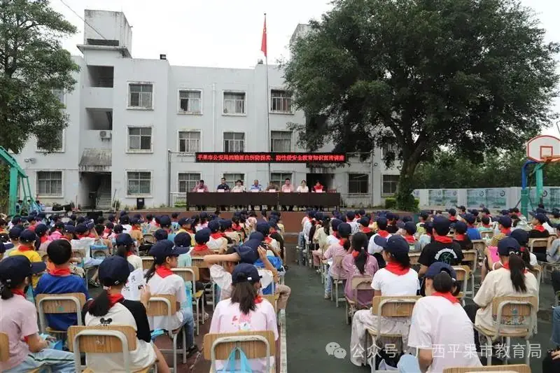 平果市四塘镇中心小学开展安全宣传教育活动 第2张 平果市四塘镇中心小学开展安全宣传教育活动 第2张