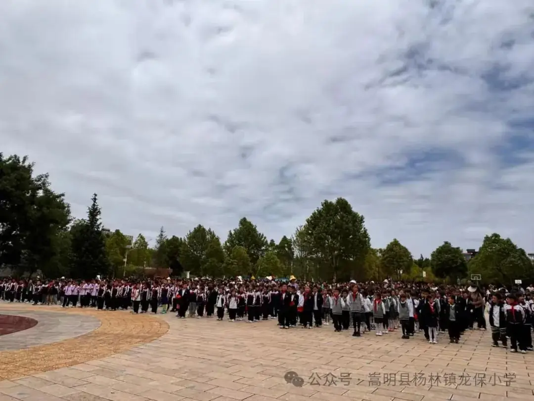 家校合力 共育未来——龙保小学庆六一主题活动 第1张 家校合力 共育未来——龙保小学庆六一主题活动 第1张