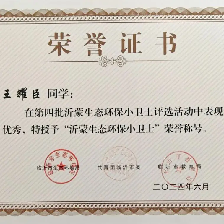 【北城小学I喜报】临沂北城小学队员喜获临沂市“沂蒙生态环保小卫士”荣誉称号 第8张