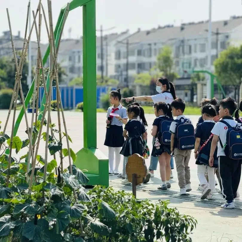 探秘小学,快乐衔接 第12张