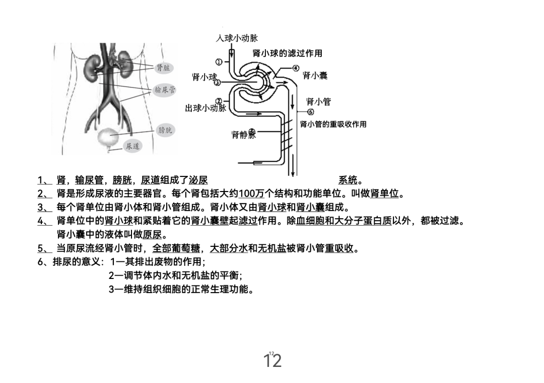 2024年中考生物考前课本重点图片回顾 第12张 2024年中考生物考前课本重点图片回顾 第12张