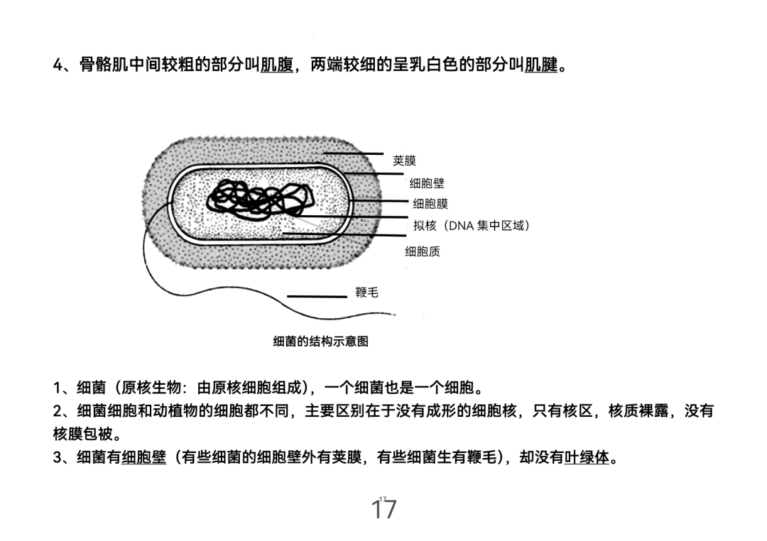 2024年中考生物考前课本重点图片回顾 第17张 2024年中考生物考前课本重点图片回顾 第17张