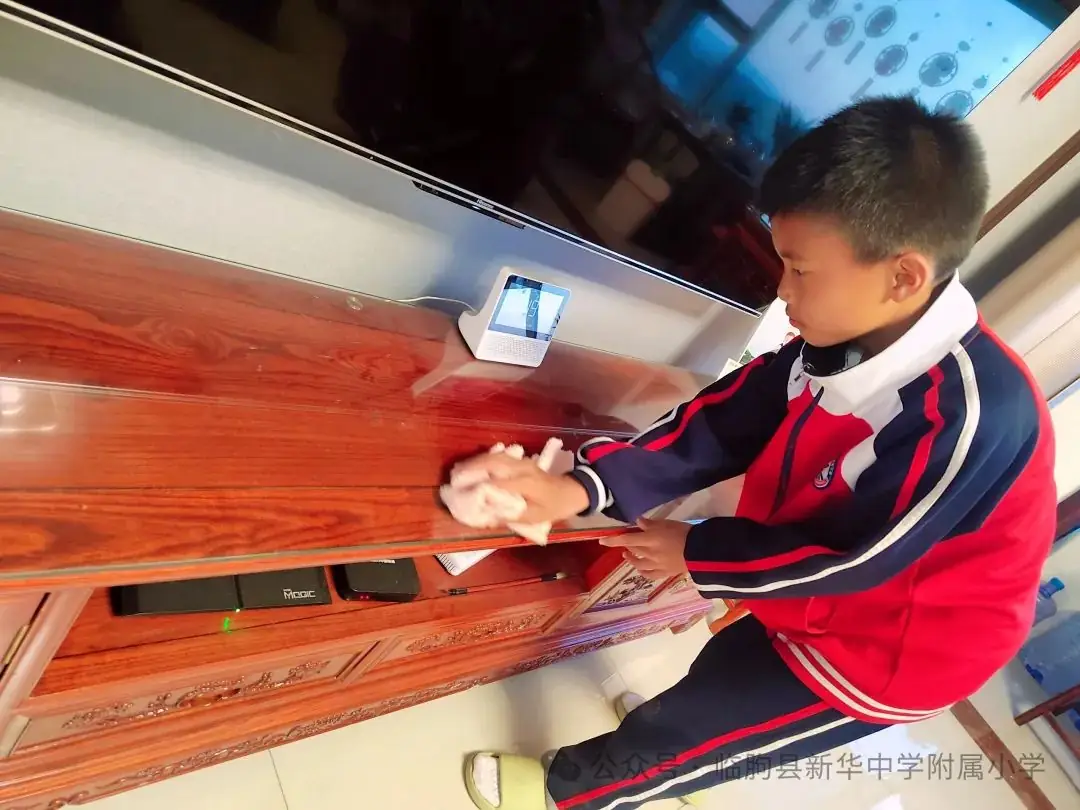 劳动的你最美——新华中学附属小学开展劳动月系列活动 第19张