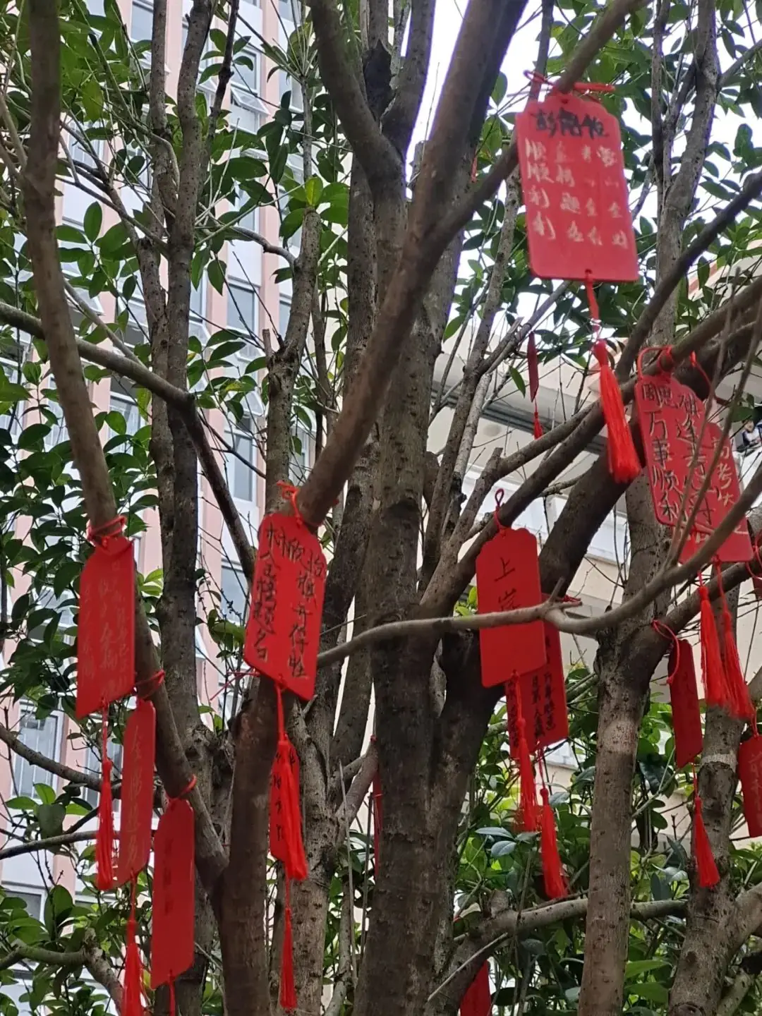 【团辅活动】许愿高考,加油未来——德化第二中学开展高考许愿暨心理减压活动 第14张 【团辅活动】许愿高考,加油未来——德化第二中学开展高考许愿暨心理减压活动 第14张