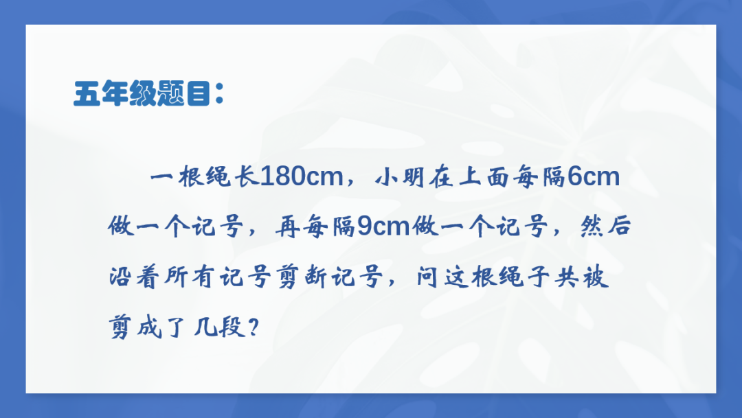新村小学数学小讲师 第11张 新村小学数学小讲师 第11张