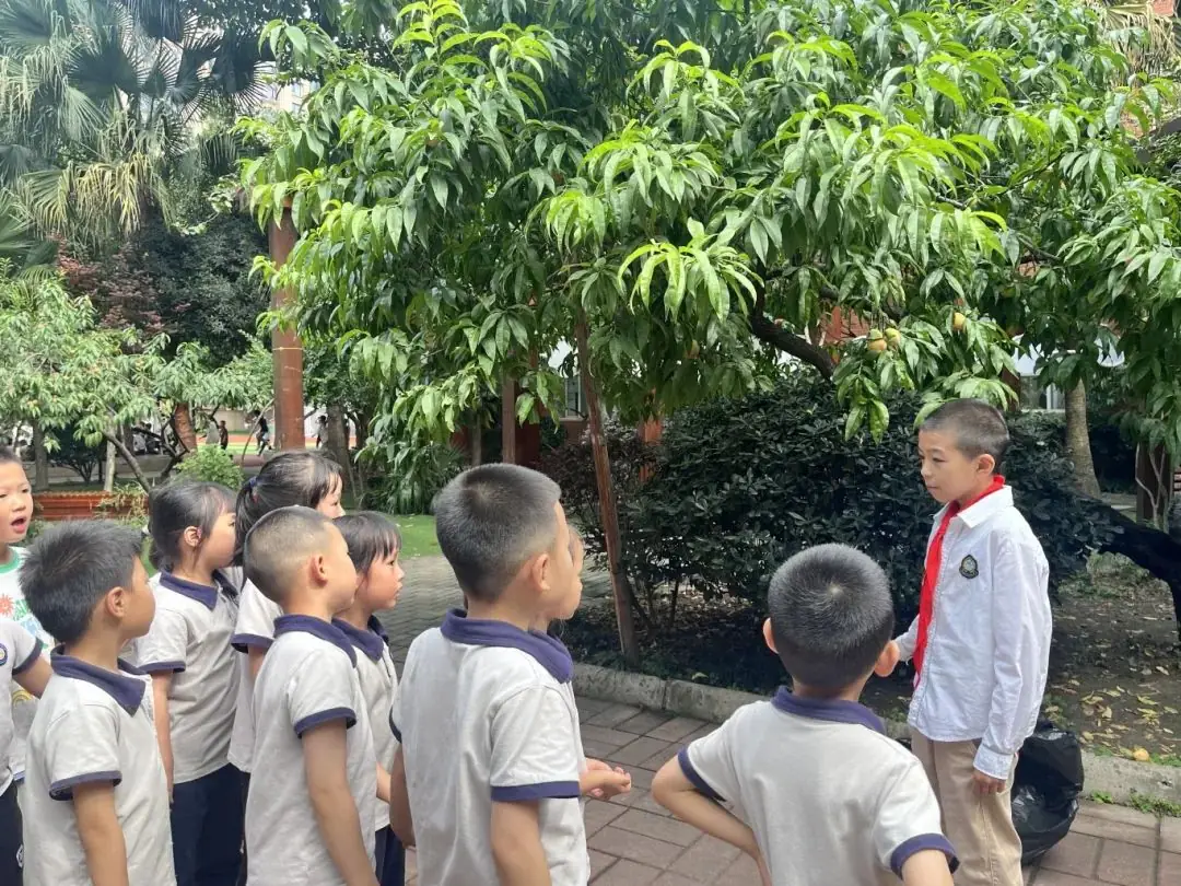 初探小学,礼遇成长 第33张 初探小学,礼遇成长 第33张