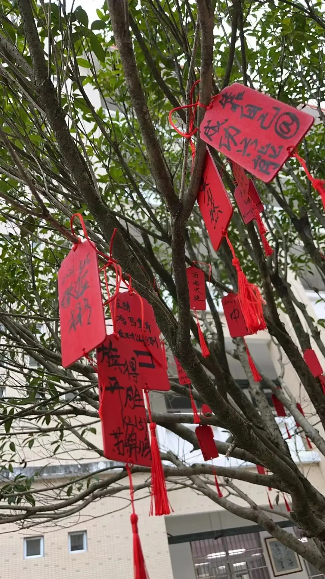 【团辅活动】许愿高考,加油未来——德化第二中学开展高考许愿暨心理减压活动 第10张 【团辅活动】许愿高考,加油未来——德化第二中学开展高考许愿暨心理减压活动 第10张