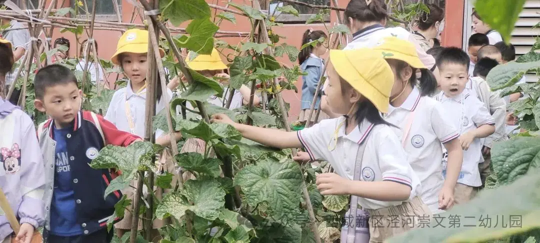 【幼小衔接】走进小学,感悟成长——西咸新区泾河崇文第二幼儿园走进小学活动纪实 第24张 【幼小衔接】走进小学,感悟成长——西咸新区泾河崇文第二幼儿园走进小学活动纪实 第24张