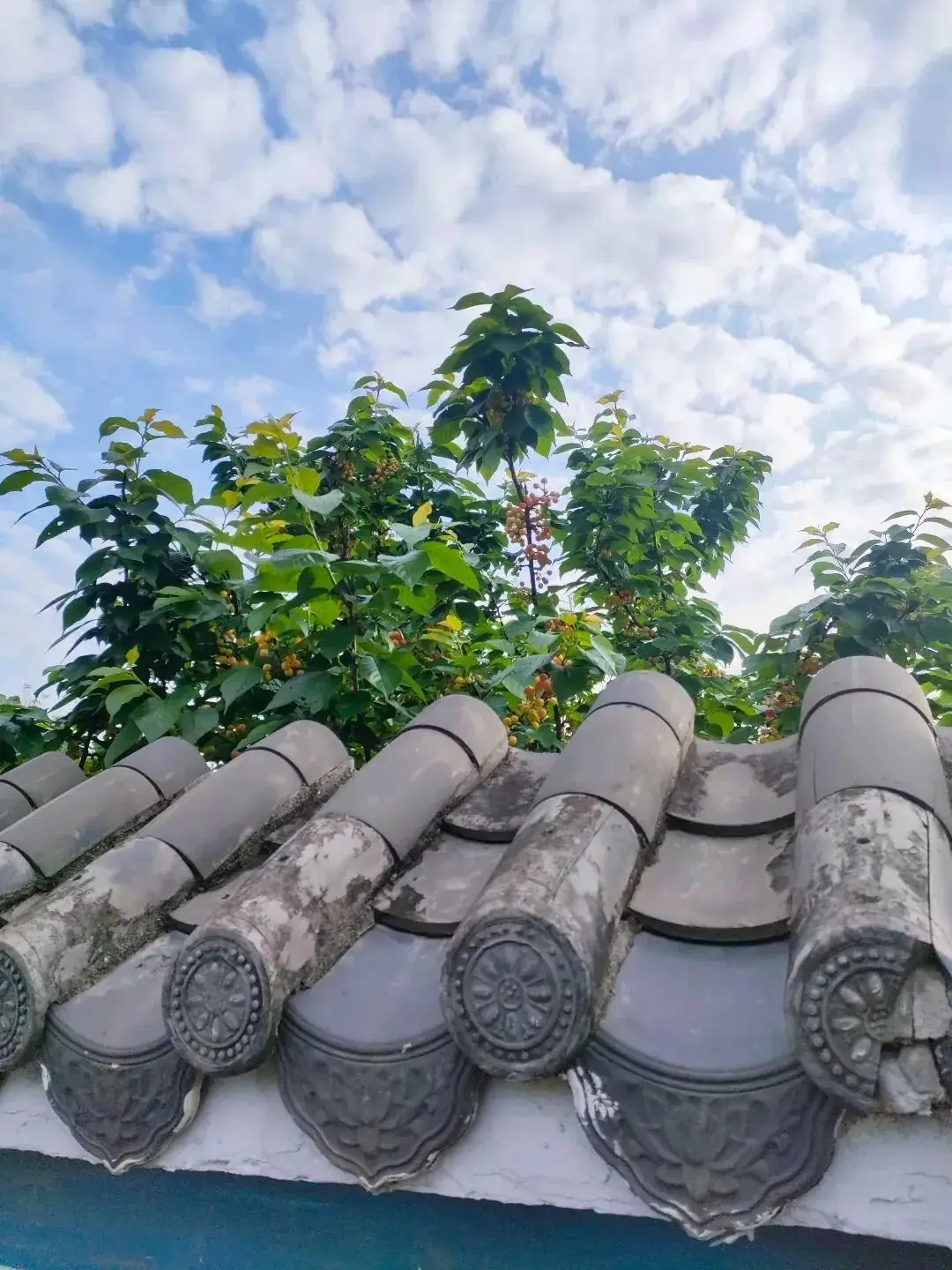 小学观察人物作文怎么写?(二下第5次思维题成果分享) 第1张 小学观察人物作文怎么写?(二下第5次思维题成果分享) 第1张