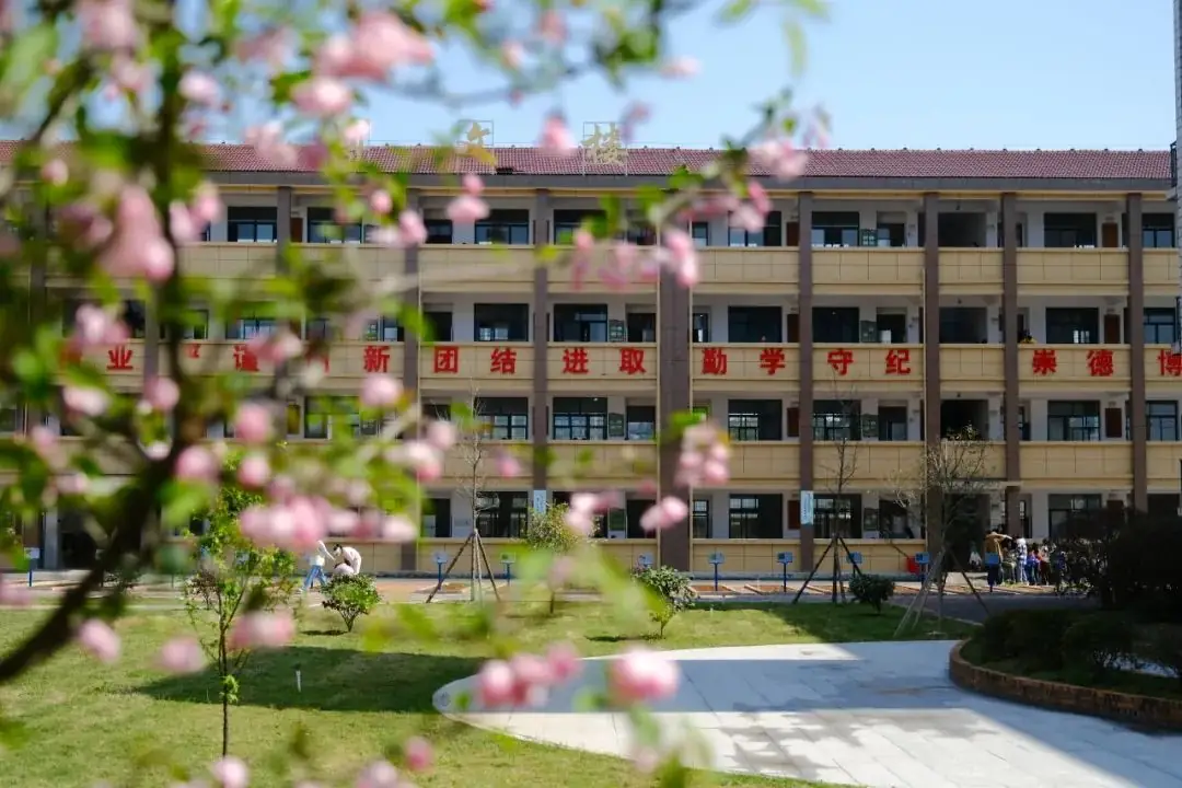 陬市镇第二完全小学2024年秋季新生招生简章 第2张 陬市镇第二完全小学2024年秋季新生招生简章 第2张