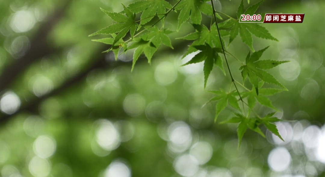雷雨+38℃高温……高考天气出炉! 第3张 雷雨+38℃高温……高考天气出炉! 第3张