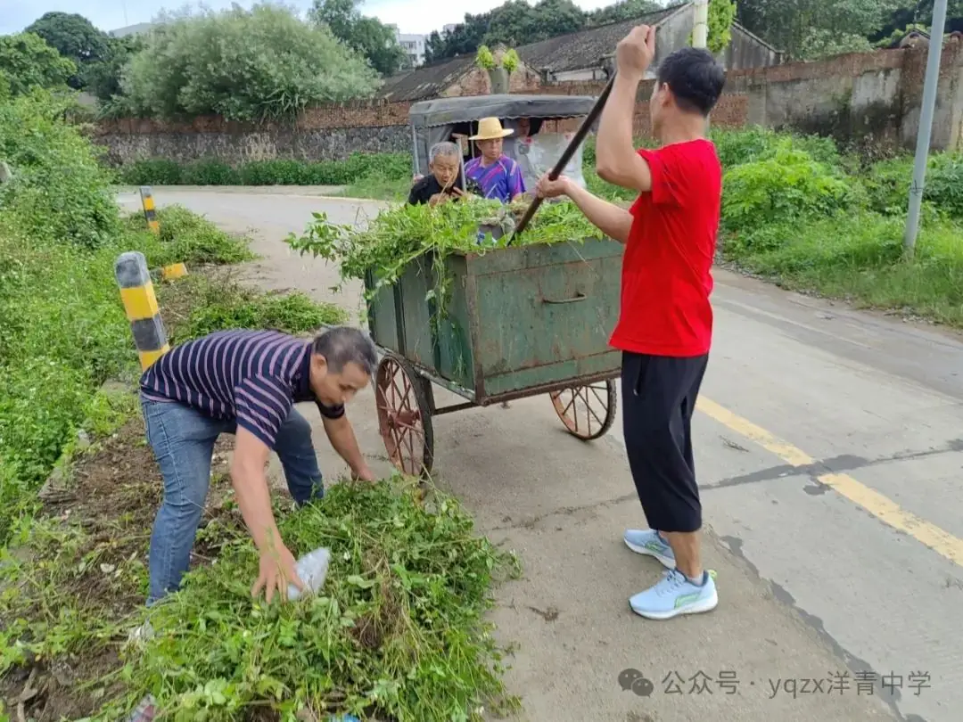 铲草护绿,清道助中考 第16张 铲草护绿,清道助中考 第16张