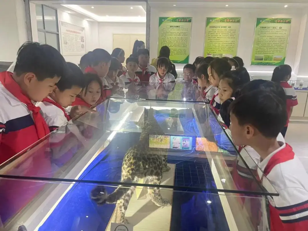 环境日科普之旅:黄冈市考棚小学学生走进生物科普馆 第36张 环境日科普之旅:黄冈市考棚小学学生走进生物科普馆 第36张