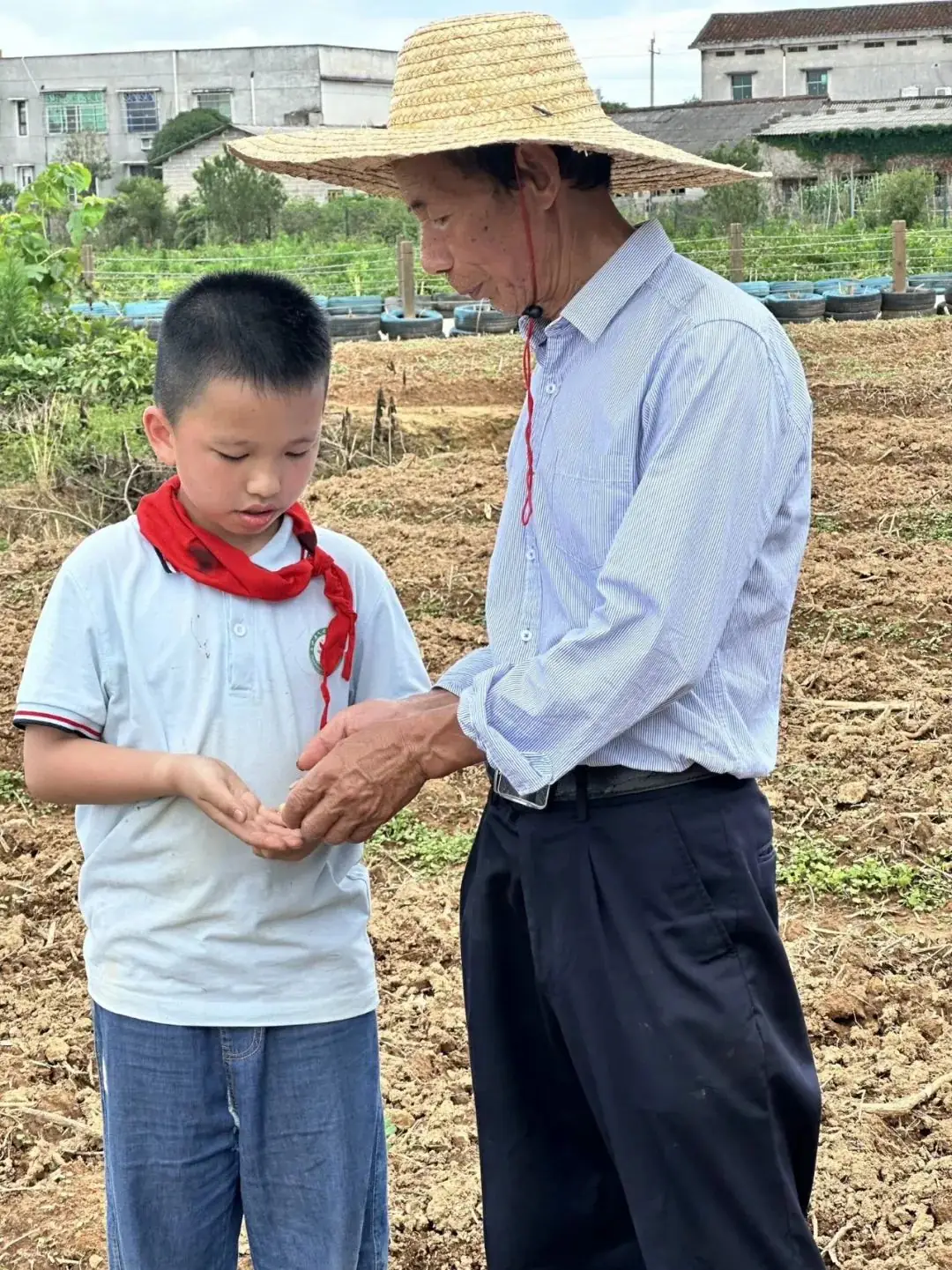 花园小学“国歌嘹亮 耕读童年”——庆六一•红领巾爱祖国研学实践活动 第57张 花园小学“国歌嘹亮 耕读童年”——庆六一•红领巾爱祖国研学实践活动 第57张