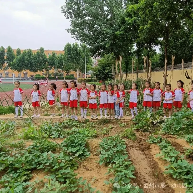 亲爱的小学,我来啦!——孟州市第二幼儿园参观小学活动 第66张 亲爱的小学,我来啦!——孟州市第二幼儿园参观小学活动 第66张
