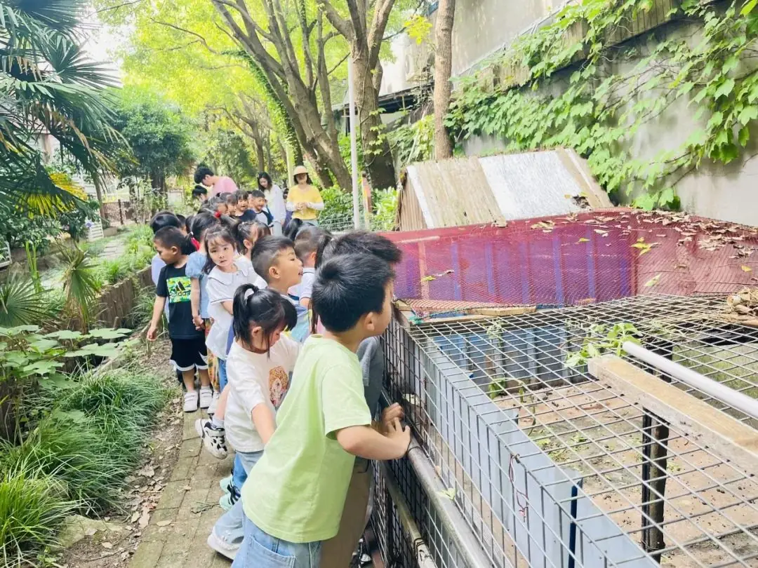 【小幼衔接】你好,小学——洪庙小学小幼衔接之“走进小学”活动 第13张 【小幼衔接】你好,小学——洪庙小学小幼衔接之“走进小学”活动 第13张
