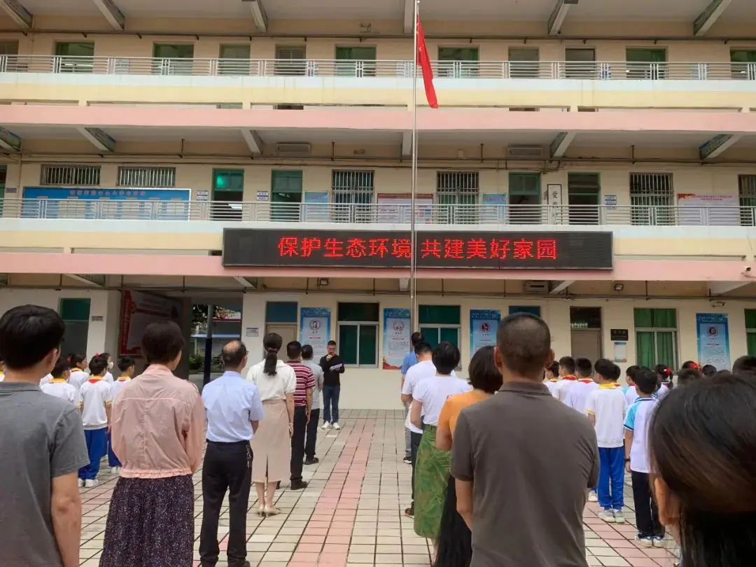 新港街道中心小学2024年生态环境保护宣传月系列活动 第4张 新港街道中心小学2024年生态环境保护宣传月系列活动 第4张