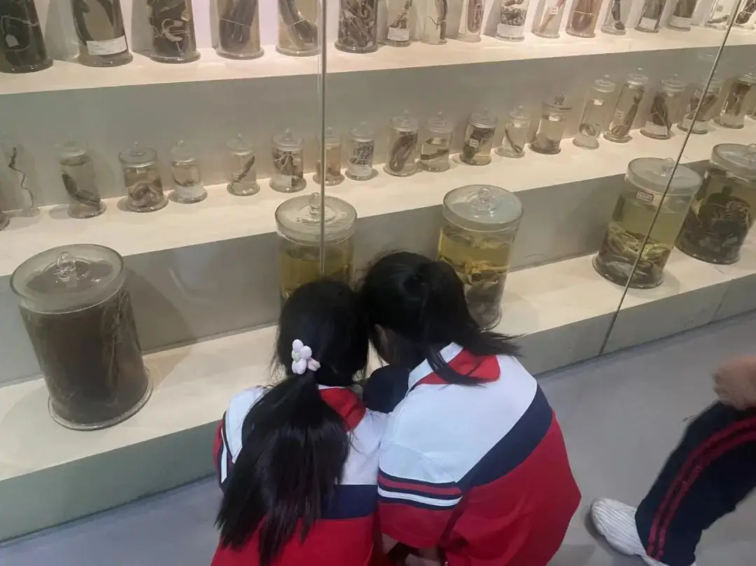 环境日科普之旅:黄冈市考棚小学学生走进生物科普馆 第45张 环境日科普之旅:黄冈市考棚小学学生走进生物科普馆 第45张