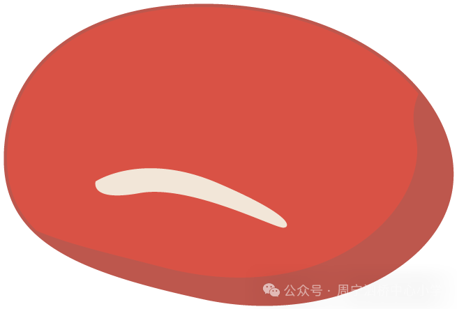 周宁县泗桥中心小学端午放假通知-第9张图片-四季读书网