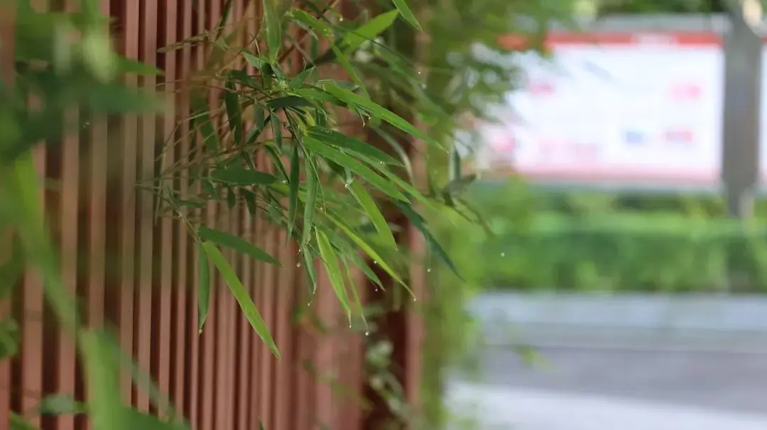 高考在即,应考十问十答来啦~ 第5张 高考在即,应考十问十答来啦~ 第5张