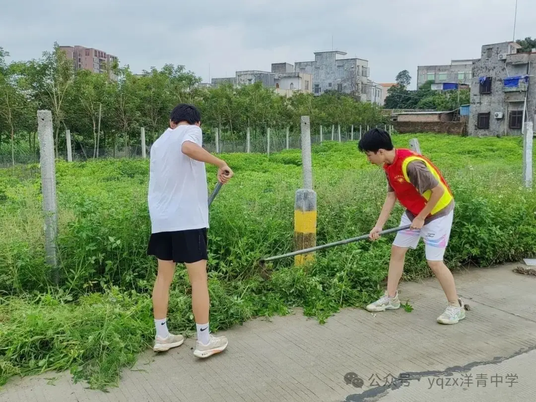 铲草护绿,清道助中考 第14张 铲草护绿,清道助中考 第14张