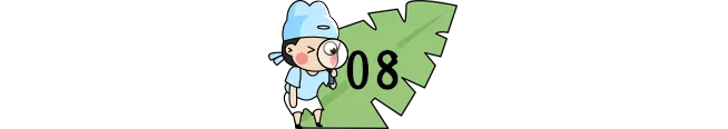 小学作文最令人满意的10种开头,尤其第1种,高分学生都在用! 第8张 小学作文最令人满意的10种开头,尤其第1种,高分学生都在用! 第8张
