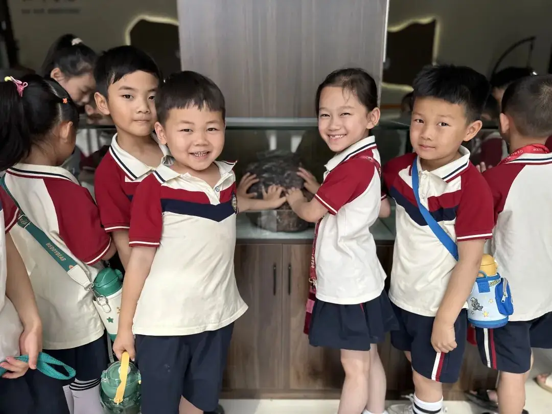 初探小学 礼遇成长——枣庄市第二十九中学附属幼儿园大班组参观小学活动 第34张 初探小学 礼遇成长——枣庄市第二十九中学附属幼儿园大班组参观小学活动 第34张