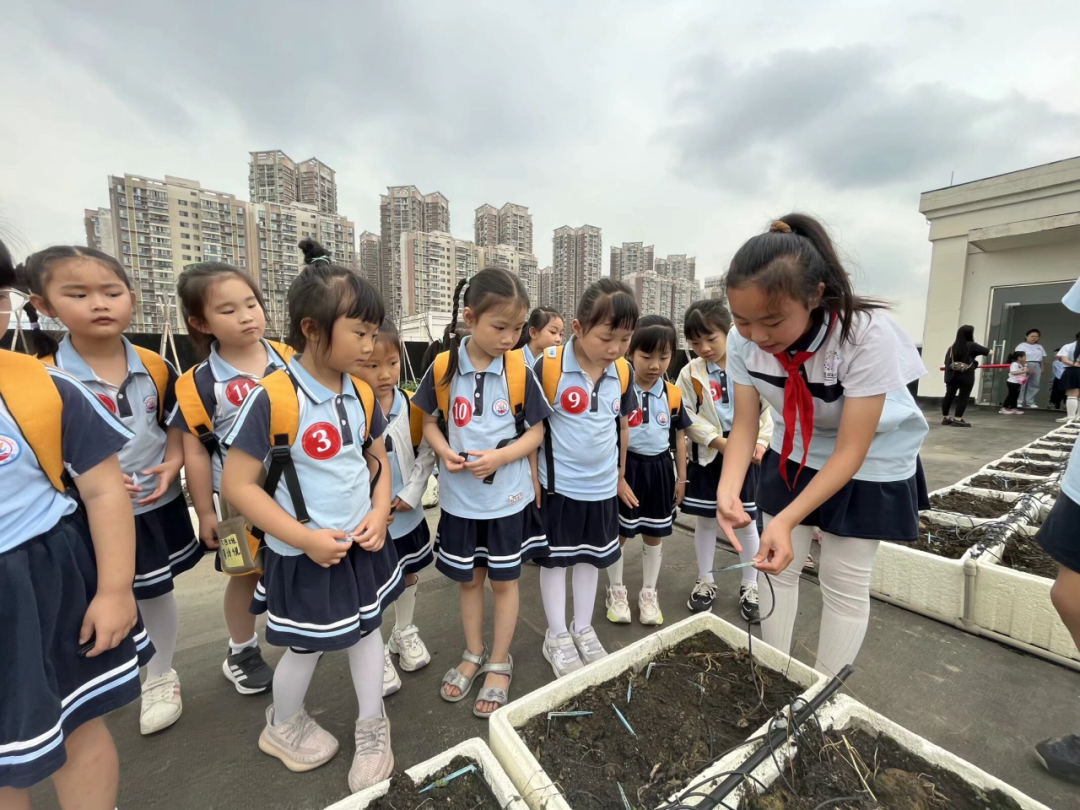 【园级动态】初探小学 期望成长——红岭幼儿园大班组参观小学活动纪实 第44张 【园级动态】初探小学 期望成长——红岭幼儿园大班组参观小学活动纪实 第44张