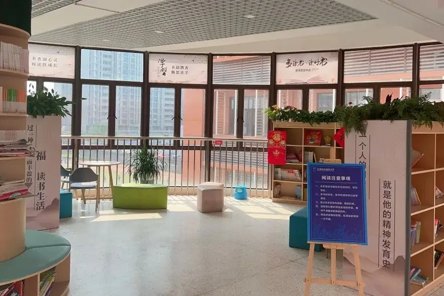 【优质均衡·招生季】 | 宝安小学(集团)红树林外国语小学2024年秋季义务教育招生指引 第6张 【优质均衡·招生季】 | 宝安小学(集团)红树林外国语小学2024年秋季义务教育招生指引 第6张