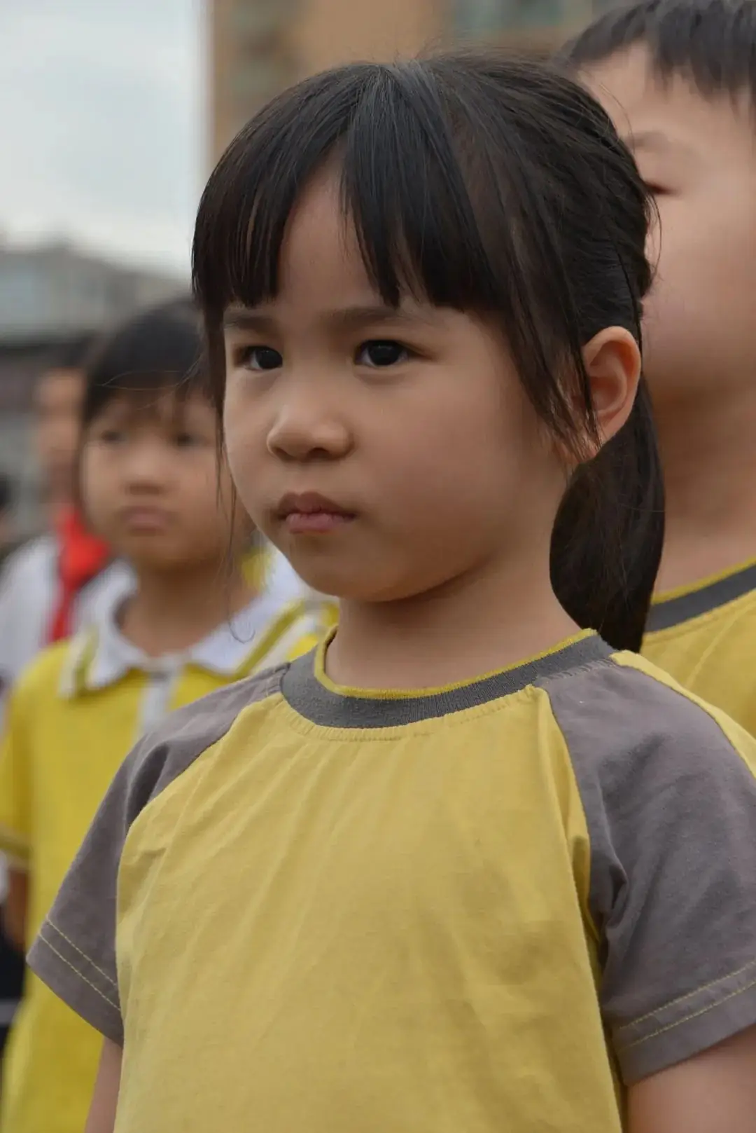 趣探小学,幼见成长 第42张 趣探小学,幼见成长 第42张