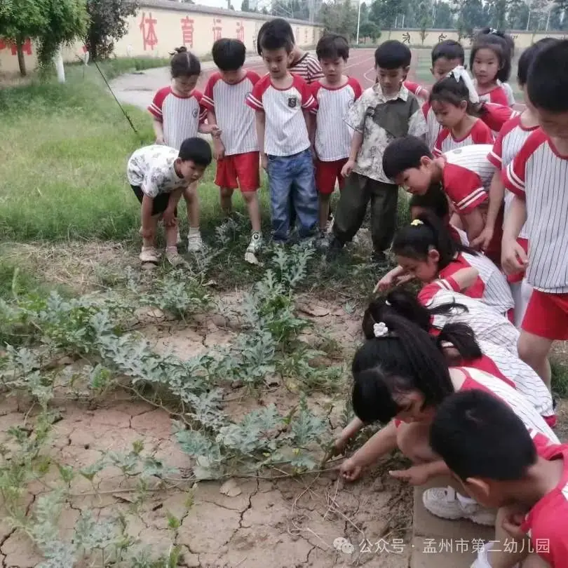 亲爱的小学,我来啦!——孟州市第二幼儿园参观小学活动 第67张 亲爱的小学,我来啦!——孟州市第二幼儿园参观小学活动 第67张