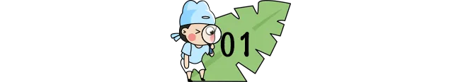 小学作文最令人满意的10种开头,尤其第1种,高分学生都在用! 第1张 小学作文最令人满意的10种开头,尤其第1种,高分学生都在用! 第1张