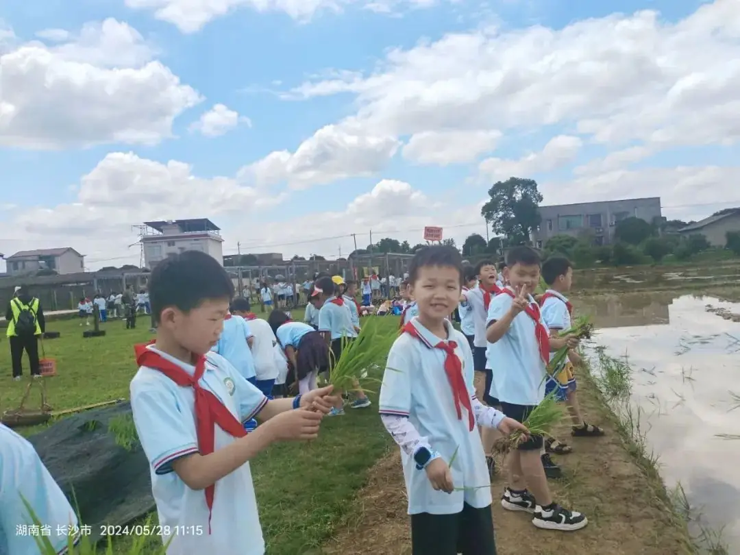 花园小学“国歌嘹亮 耕读童年”——庆六一•红领巾爱祖国研学实践活动 第76张 花园小学“国歌嘹亮 耕读童年”——庆六一•红领巾爱祖国研学实践活动 第76张
