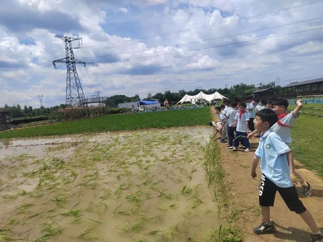花园小学“国歌嘹亮 耕读童年”——庆六一•红领巾爱祖国研学实践活动 第48张 花园小学“国歌嘹亮 耕读童年”——庆六一•红领巾爱祖国研学实践活动 第48张