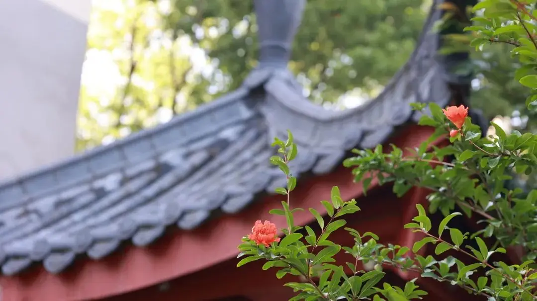 高考在即,应考十问十答来啦~ 第6张 高考在即,应考十问十答来啦~ 第6张