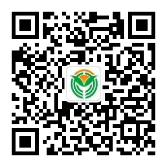 【柳林校区】一起见证成长——柳林铺小学召开家长交流会 第60张 【柳林校区】一起见证成长——柳林铺小学召开家长交流会 第60张