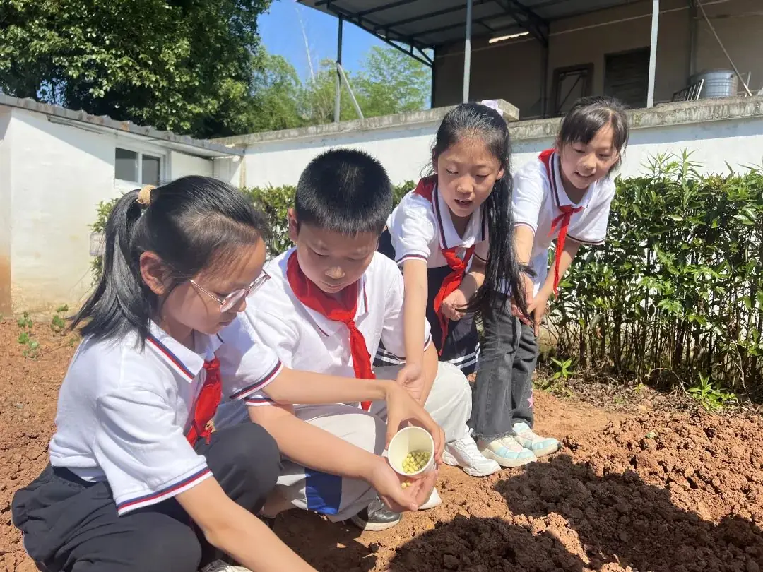 【儿童友好系列活动】奕棋镇中心小学:深耕劳动教育 赋能学生成长(一百零七) 第5张 【儿童友好系列活动】奕棋镇中心小学:深耕劳动教育 赋能学生成长(一百零七) 第5张