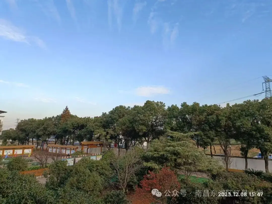 八一嘉实希望小学教育集团红星校区2024年端午节假期安全致家长的一封信 第9张