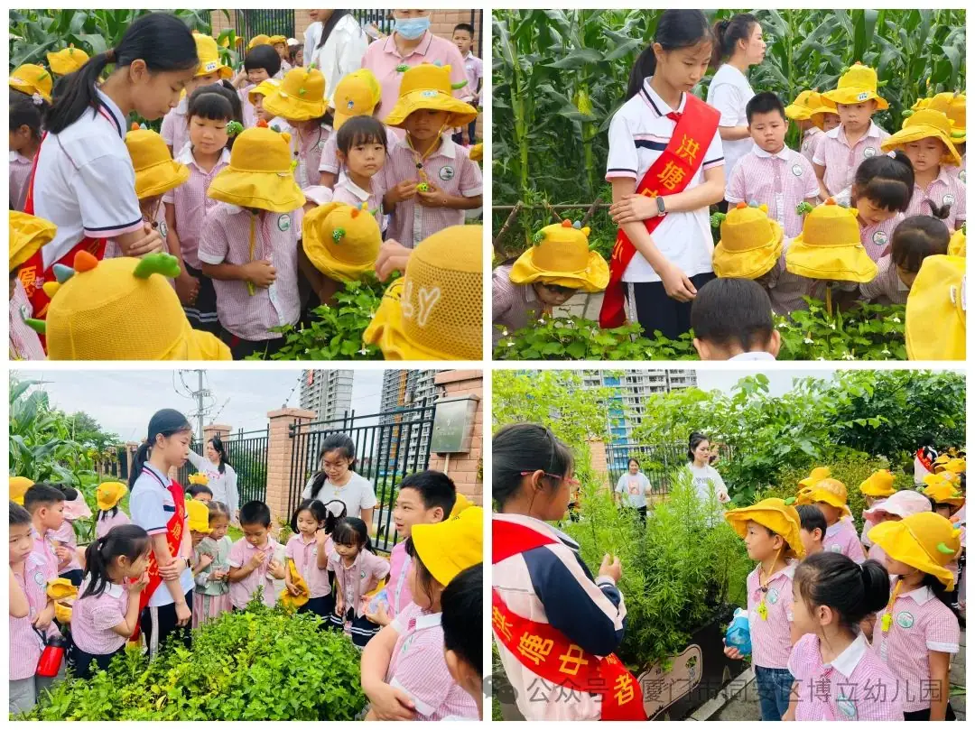 【幼小衔接】初夏遇见,你好小学——幼小衔接系列活动 第30张 【幼小衔接】初夏遇见,你好小学——幼小衔接系列活动 第30张