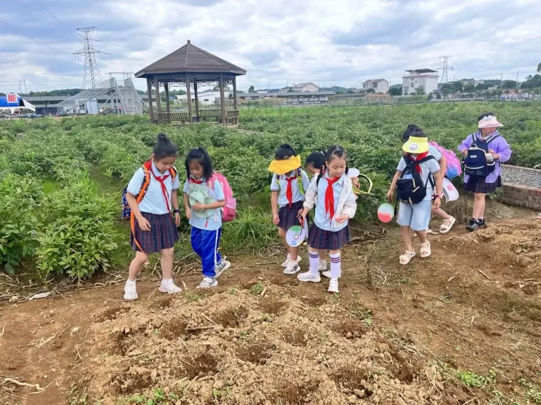 花园小学“国歌嘹亮 耕读童年”——庆六一•红领巾爱祖国研学实践活动 第80张 花园小学“国歌嘹亮 耕读童年”——庆六一•红领巾爱祖国研学实践活动 第80张