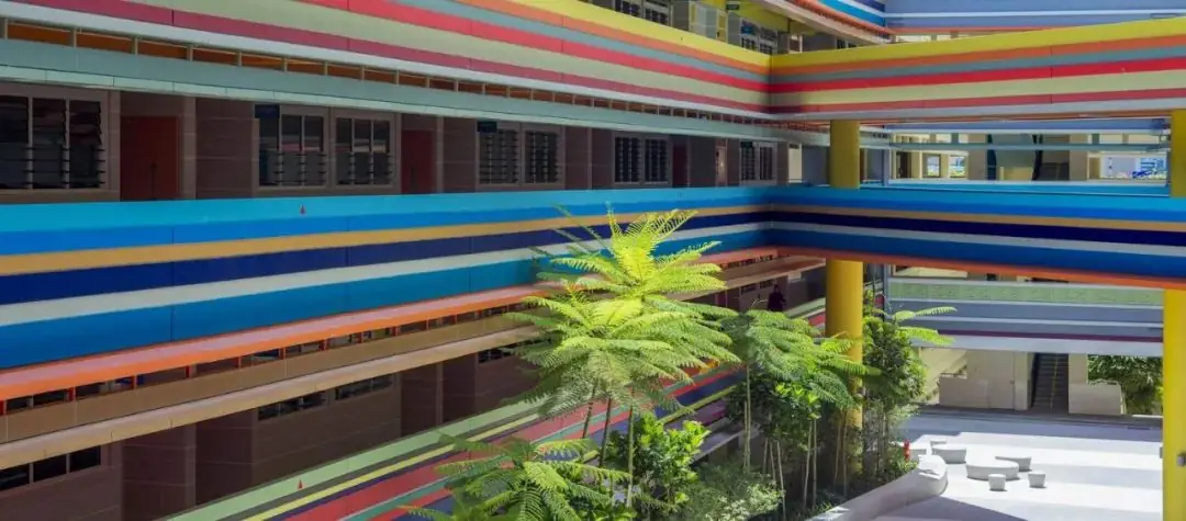 新加坡政府名校之南洋小学 第15张 新加坡政府名校之南洋小学 第15张
