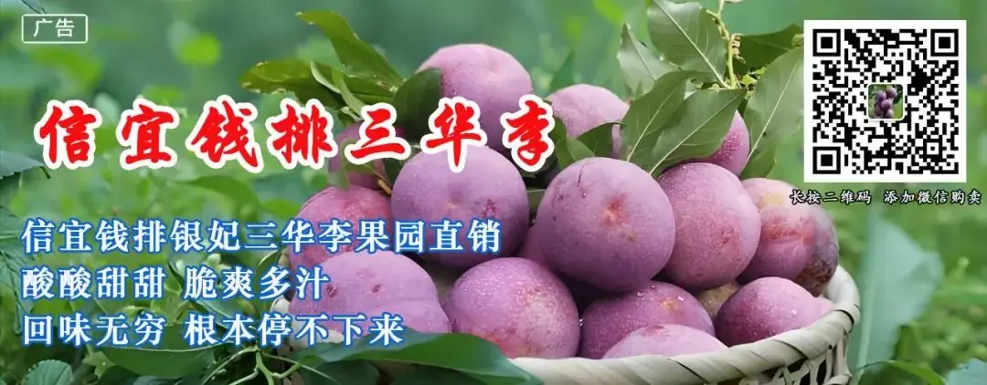 高州城区又一公立小学竣工,即将投入使用! 第1张 高州城区又一公立小学竣工,即将投入使用! 第1张