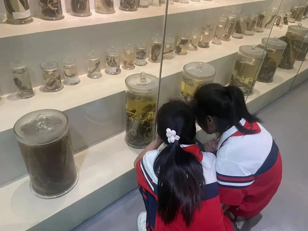 环境日科普之旅:黄冈市考棚小学学生走进生物科普馆 第21张 环境日科普之旅:黄冈市考棚小学学生走进生物科普馆 第21张