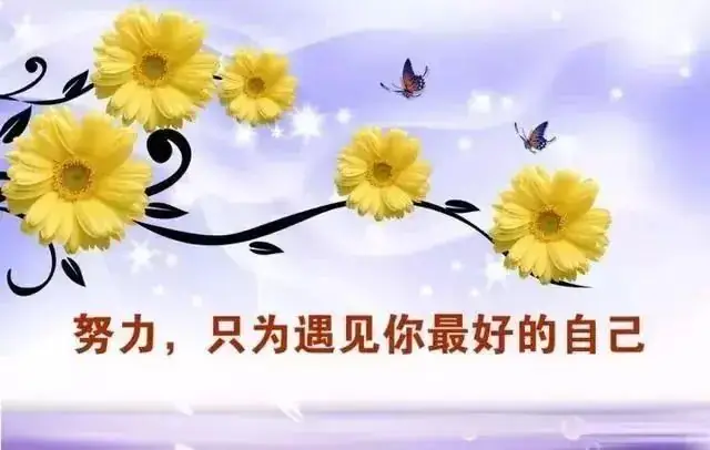 还有15天:中考最后冲刺 第4张 还有15天:中考最后冲刺 第4张