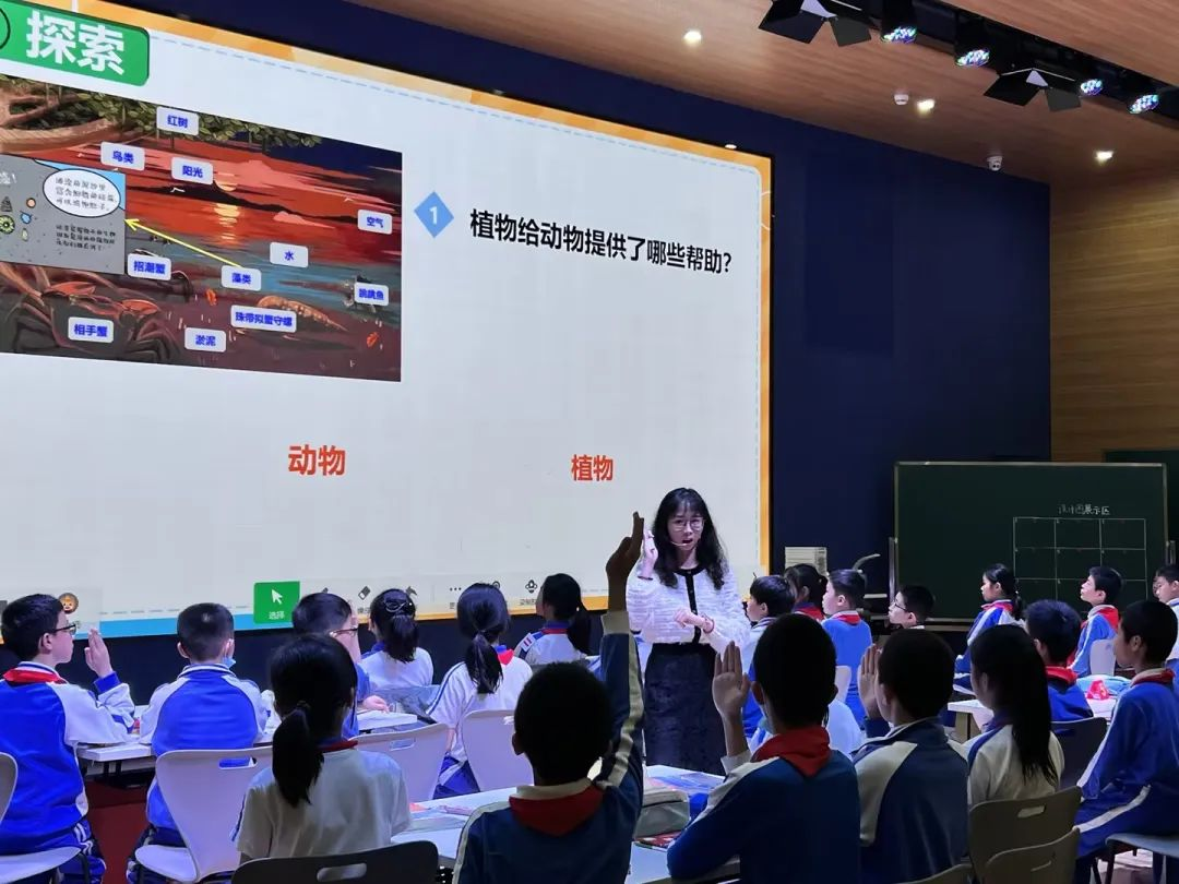【优质均衡·招生季】 | 宝安小学(集团)红树林外国语小学2024年秋季义务教育招生指引 第27张 【优质均衡·招生季】 | 宝安小学(集团)红树林外国语小学2024年秋季义务教育招生指引 第27张