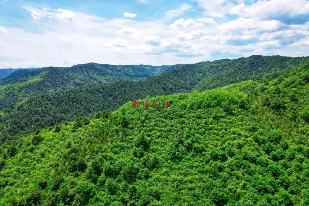 高考解压之旅,端午浓情之约~ 第4张 高考解压之旅,端午浓情之约~ 第4张