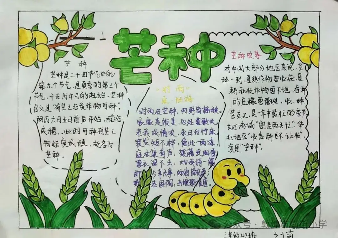 “时节·敦煌 传承有我”敦煌市南街小学开展二十四节气——芒种主题活动 第28张 “时节·敦煌 传承有我”敦煌市南街小学开展二十四节气——芒种主题活动 第28张