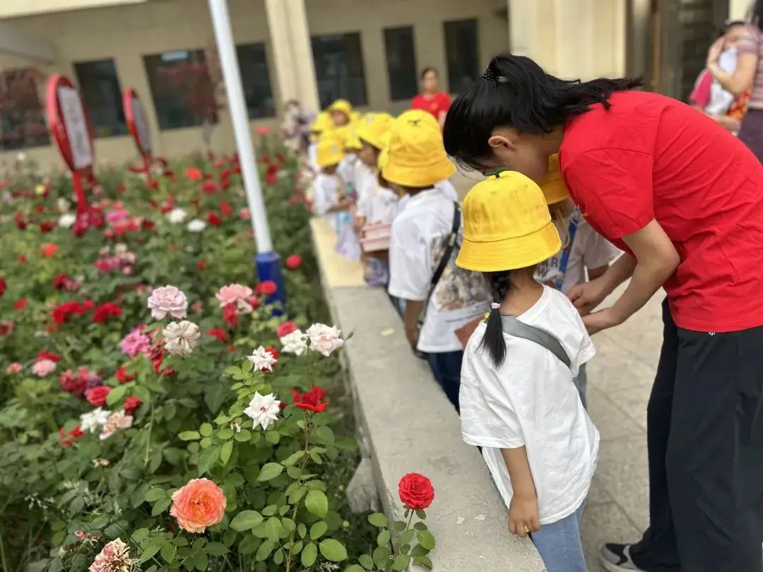 【初探小学 礼遇成长】——安平县幼儿园旧城街园参观小学活动纪实 第12张 【初探小学 礼遇成长】——安平县幼儿园旧城街园参观小学活动纪实 第12张